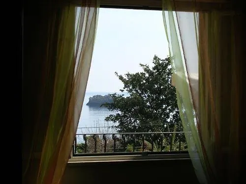 Carmelas 陶尔米纳