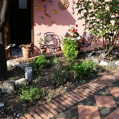 Carmelas